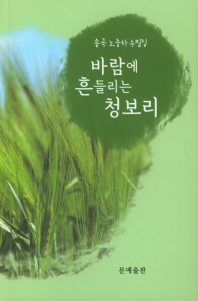 바람에 흔들리는 청보리